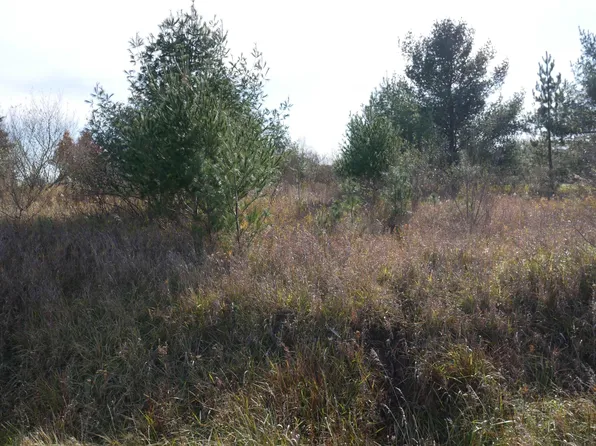 0 Track Iron Trl, Gladwin, MI 48624