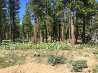 253 Arrowleaf Rd, Portola, CA 96122