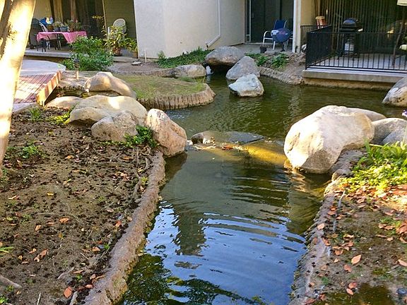 4th image of 10631 Lakeside Dr S #261