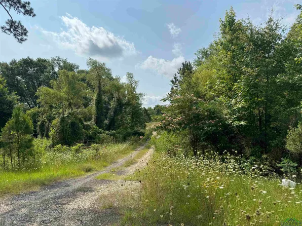 0 State Highway 43 E, Tatum, TX 75691