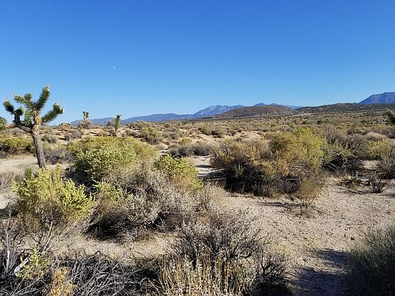 5th image of Cor Avenue W8 136