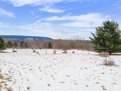 0 0 Avenue of the Stars, North Blenheim, NY, 12131