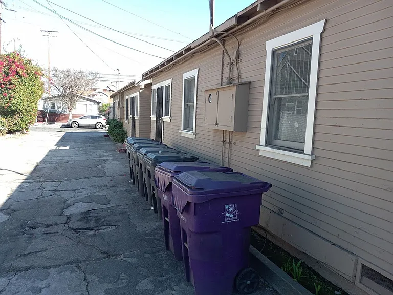 DGD 371-79 Walnut — Photo 5