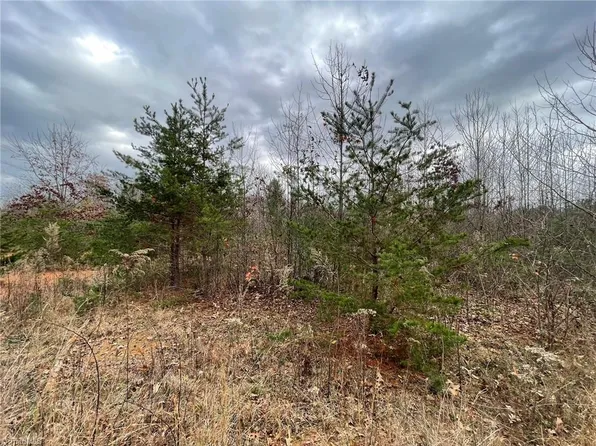 LOT 12 Pulco Ln Lot 12, Ronda, NC 28670
