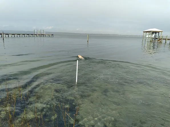 147 Harbor Cir, Panacea, FL 32346