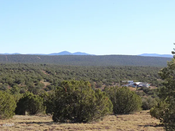6 County Road 8052, Concho, AZ 85924