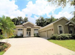 2420 Blue Stone Ct, Valrico, FL 33594