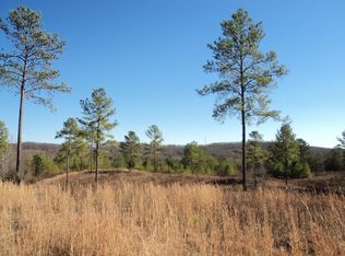 10 County Road 118, Riceville, TN 37370