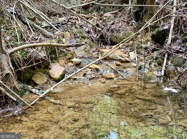 0 Adamson Rd, Bowdon, GA 30108