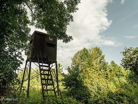 32nd image of this home