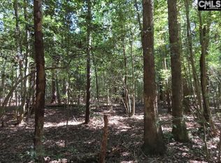 1672 Dixired Rd, Leesville, SC 29070