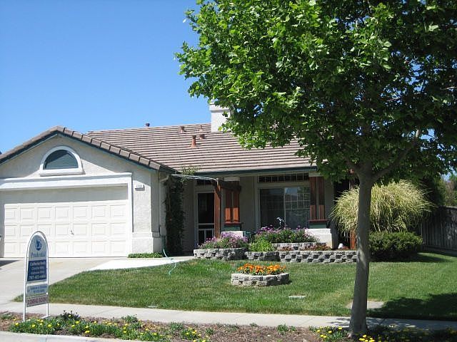 Manicured Landscaping