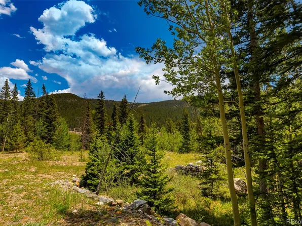 522 Quartzville Road LOT 19, Alma, CO 80420