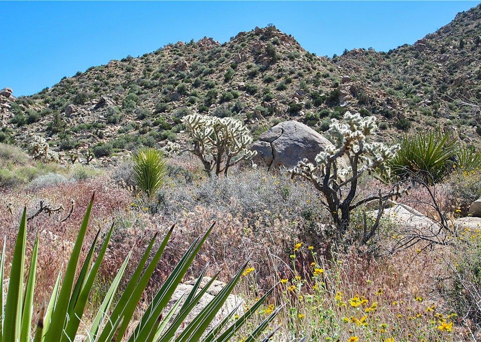 1st image of 0 San Andreas Rd