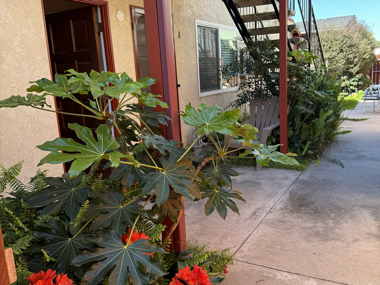 2 bed, 760 sqft, $2,850 — Photo 1