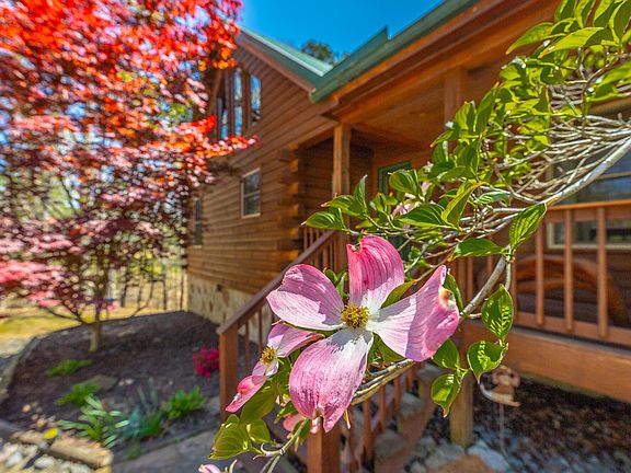 9th image of 292 Log Cabin Ln