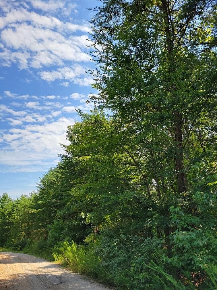 0 Estate Dr, Providence, NC 27315 Zillow