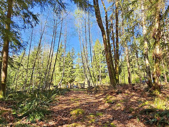 2nd image of LOT 8 Mountain Rd