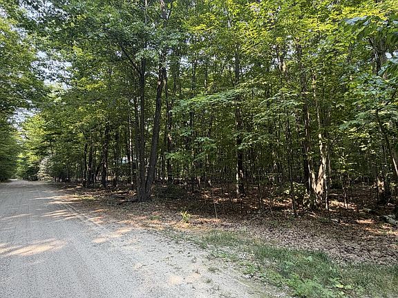 2nd image of Tbd Birch Ln