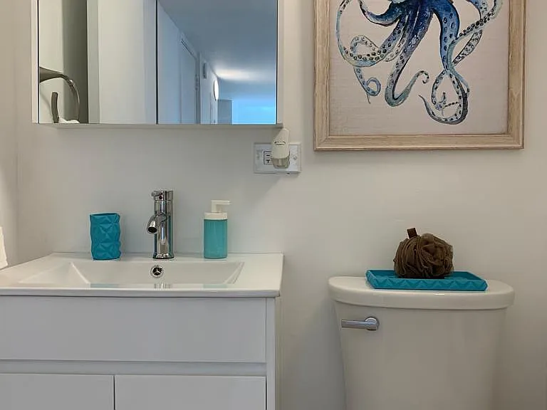 hallway bathroom (2nd.)