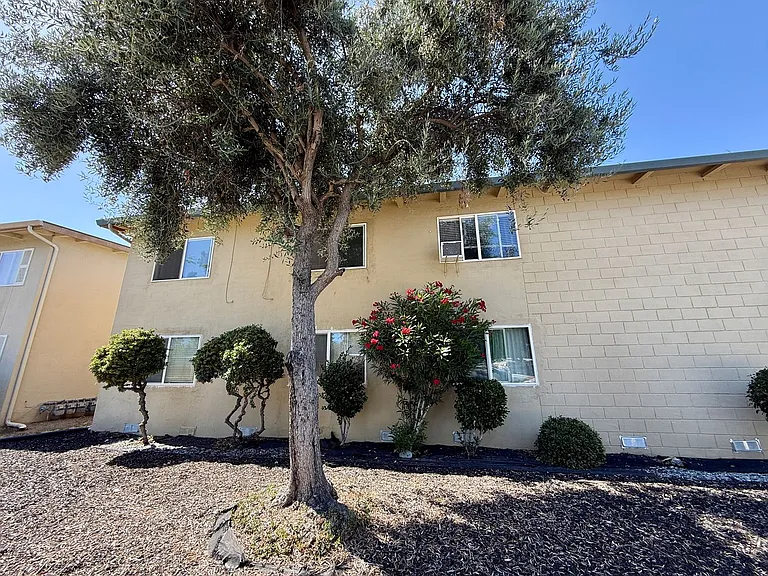 1805 Bradford Way — Photo 19