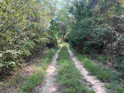 10224 Woodchuck Rd, Winnsboro, TX, 75494