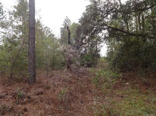 18081 SW 27th St, Dunnellon, FL 34432