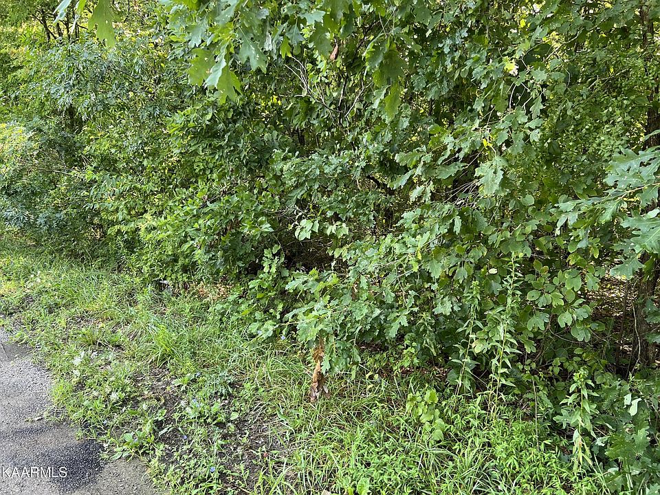 2nd image of 0 George Young Rd Lot 43