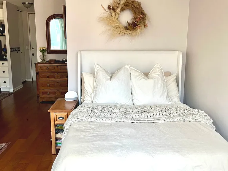 1 E Scott St #707 — Photo 4