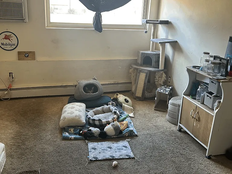 351 Pawtucket Blvd #7 — Photo 3