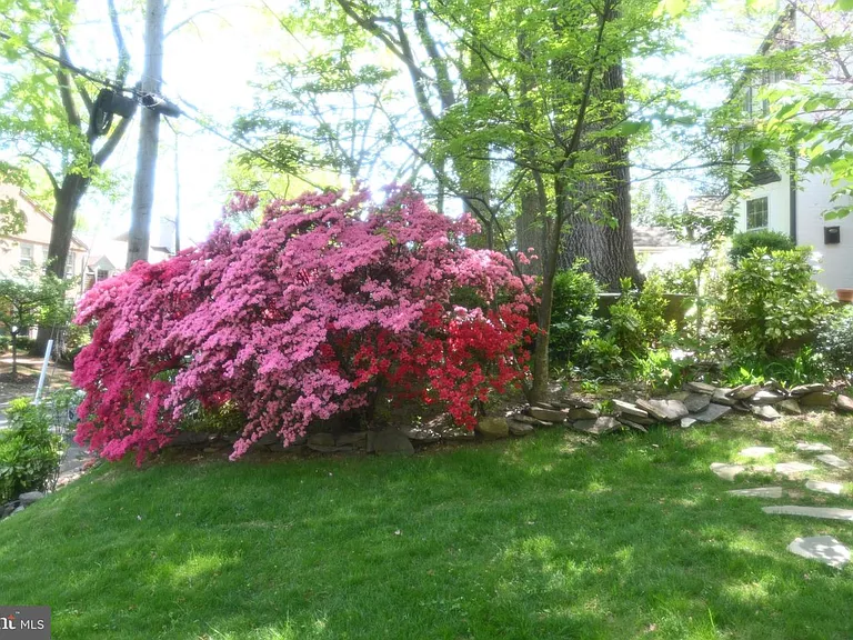 4910 Crescent St — Photo 32