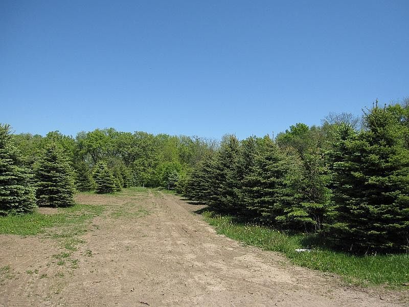 2nd image of LT1 State Rd #11