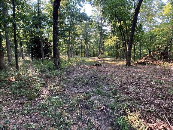 4th image of 63 Old Hickory Ln