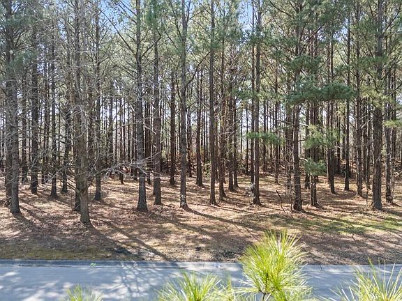 4th image of 121 W Grandiflora Dr Lot 445