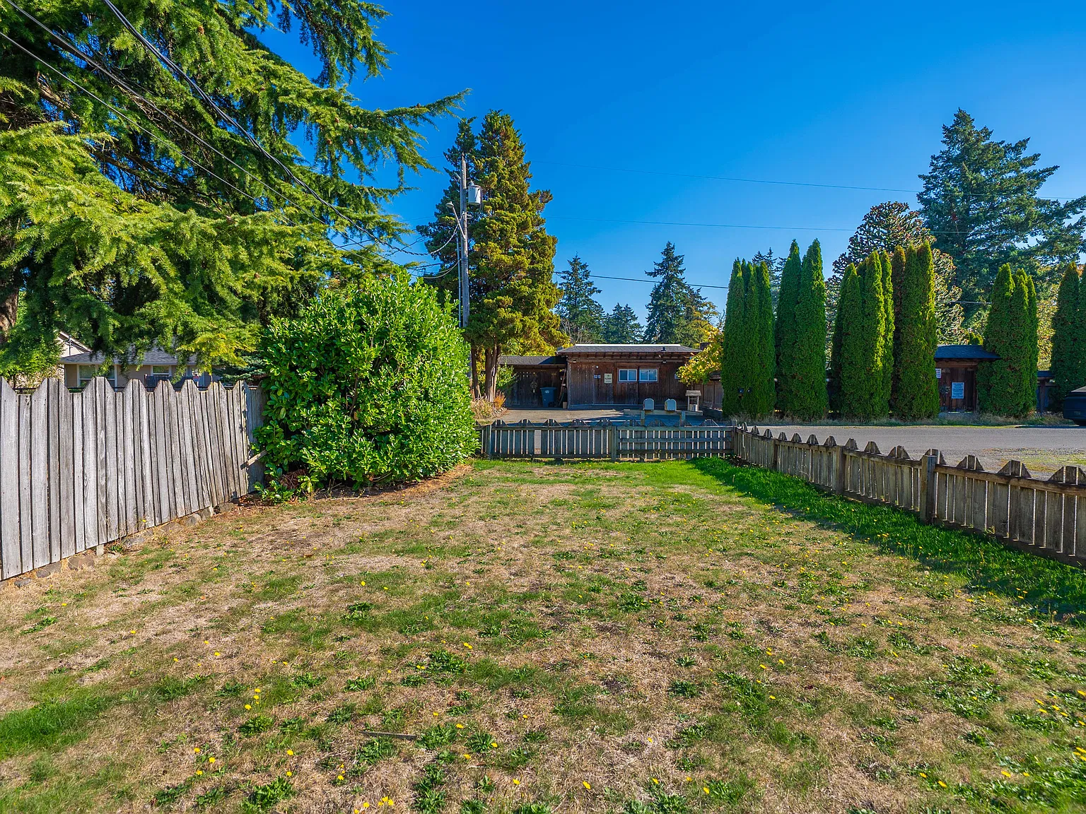 2 bed, 925 sqft, $1,599 — Photo 4