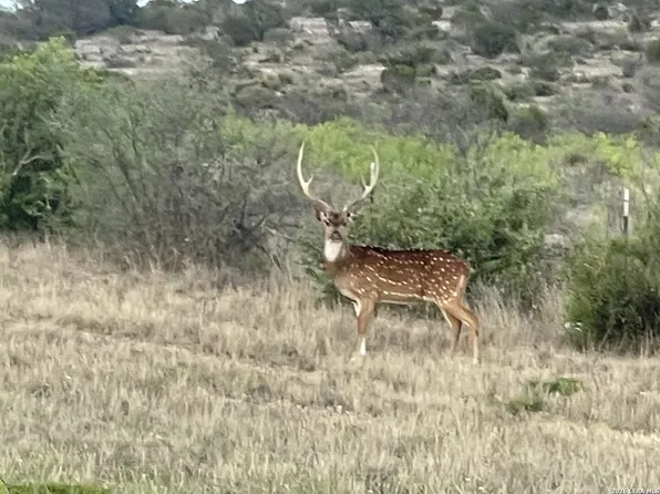 21 N HIGH LONESOME RANCH, Comstock, TX 78837