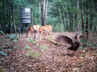 0 Bremen Mount Zion Rd #6775AC, Waco, GA 30182