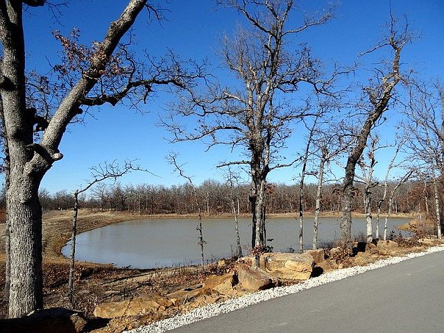 1 of 2 stocked ponds as you enter the subdivision