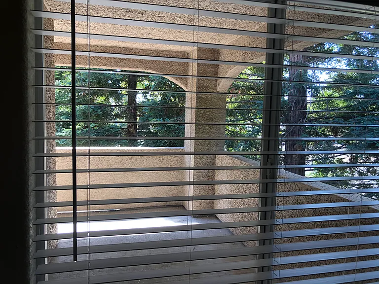 Huge covered patio off the living/dinning room.
