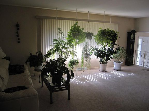 2nd image of 105 S Elizabeth Ave