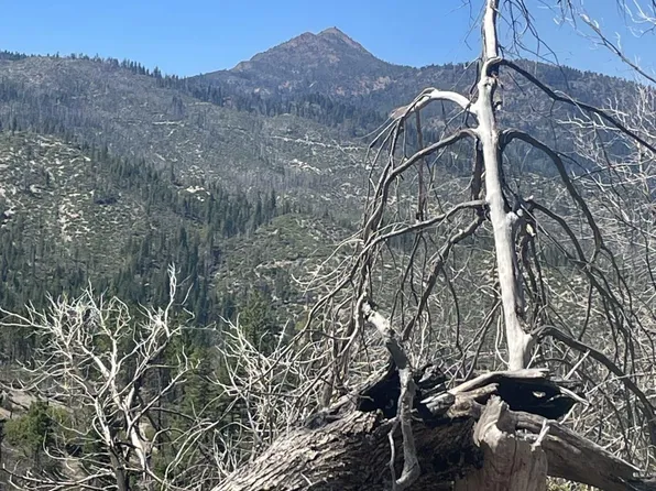 0 County Line Rd, Lewiston, CA 96052