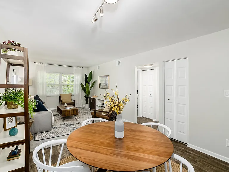 extra closet in living room for ample storage