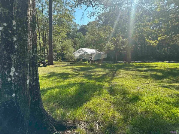 16677 Gunboat Landing Rd, Maurepas, LA 70449