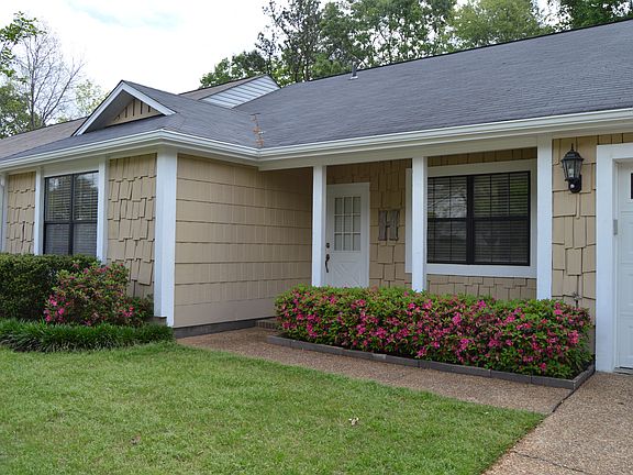 Beautiful azaleas bushes!