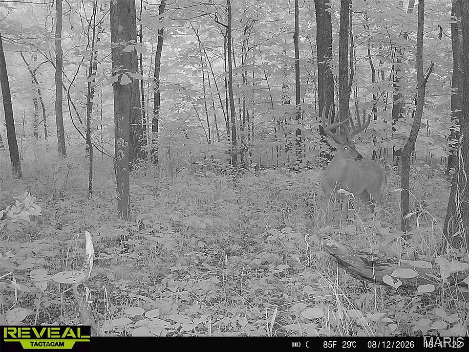 1st image of 10410 New Athens Darmstadt Rd