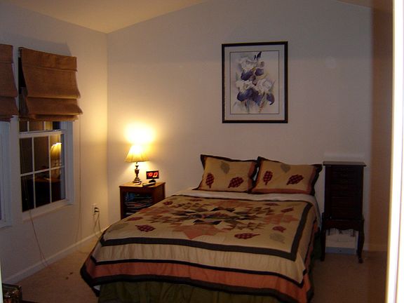 Large Master Bedroom with Walk-In Closet