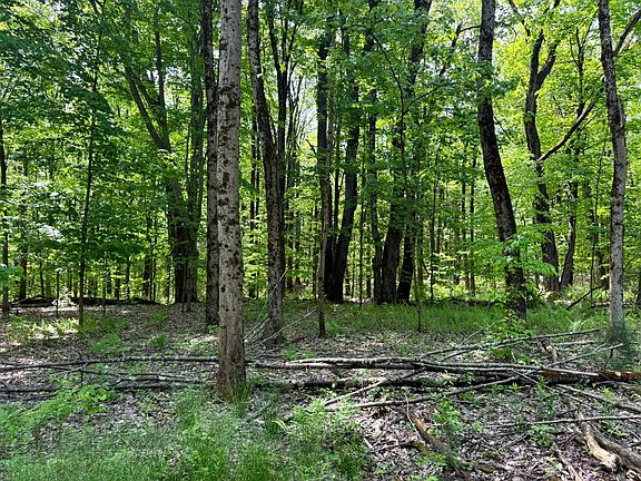 2nd image of 1.9 Marsh Rd #9