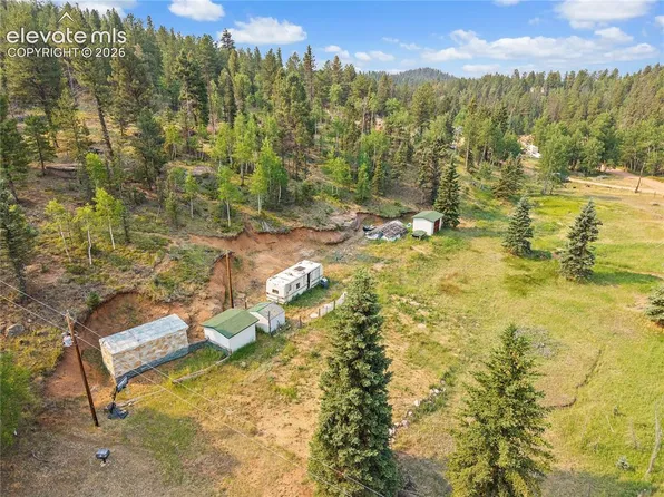 974 W Bison Creek Trl, Divide, CO 80814