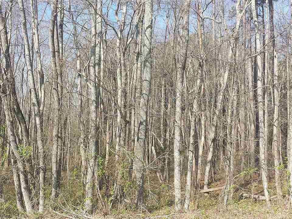 2nd image of LOT 20 Northridge Dr Lot 20