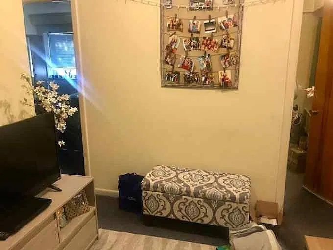 2 bed, 695 sqft, $2,600 — Photo 3